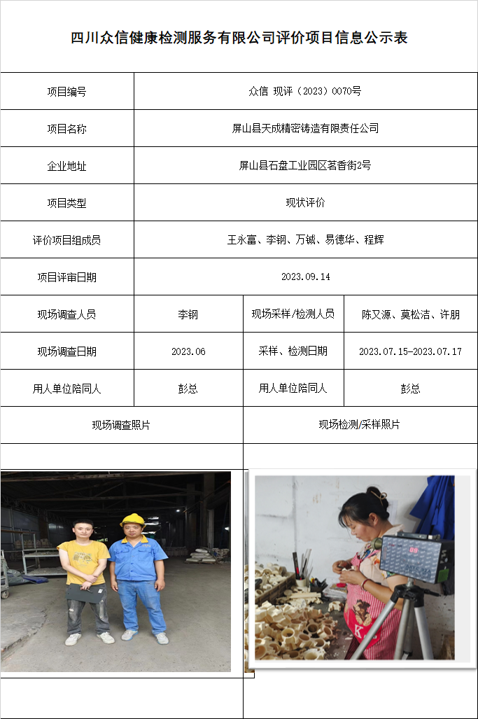屏山县天成精密铸造有限责任公司现状评价