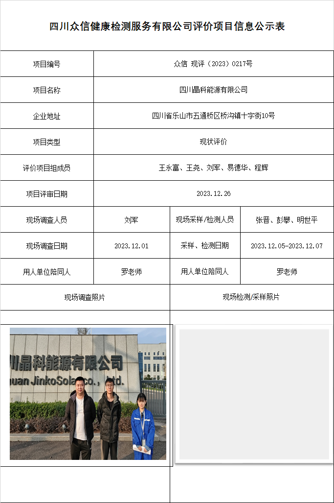 四川晶科能源有限公司现状评价