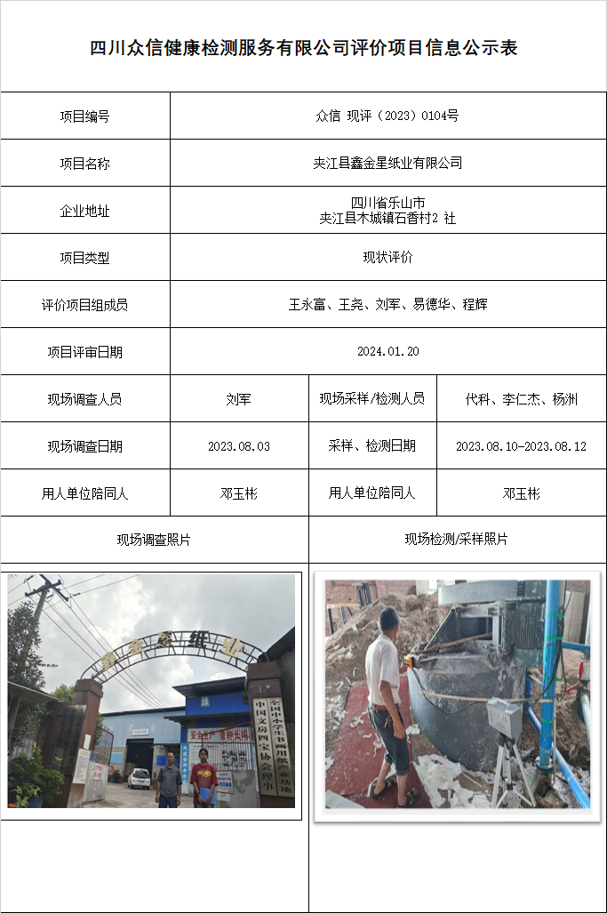 夹江县鑫金星纸业有限公司现状评价