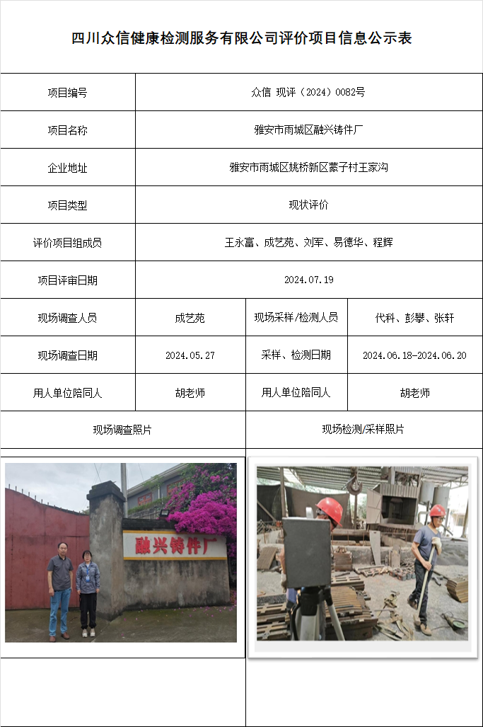 雅安市雨城区融兴铸件厂现状评价