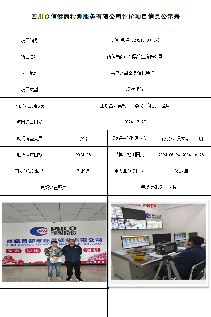 西藏昌都市翔晨镁业有限公司现状评价