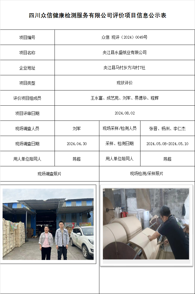 夹江县永盛纸业有限公司现状评价