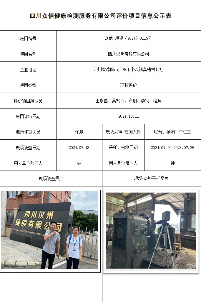 四川汉州铸锻有限公司现状评价