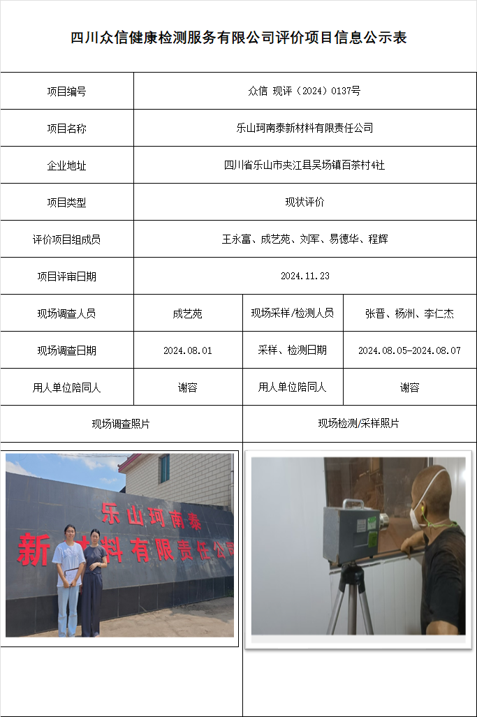 乐山珂南泰新材料有限责任公司现状评价