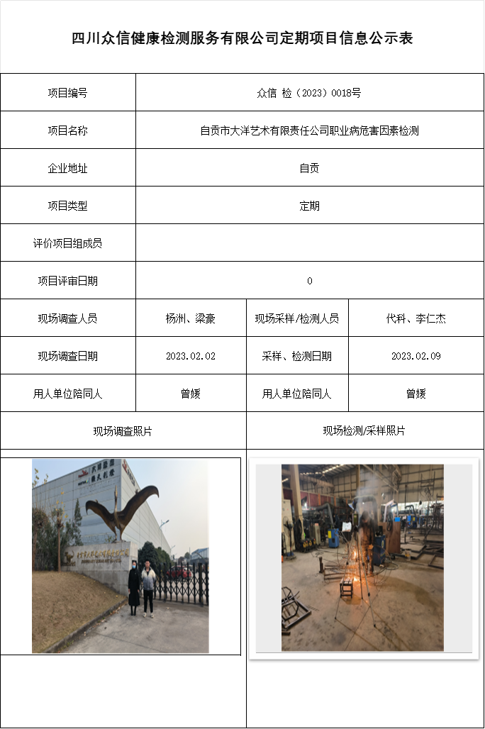 自贡市大洋艺术有限责任公司职业病危害因素检测
