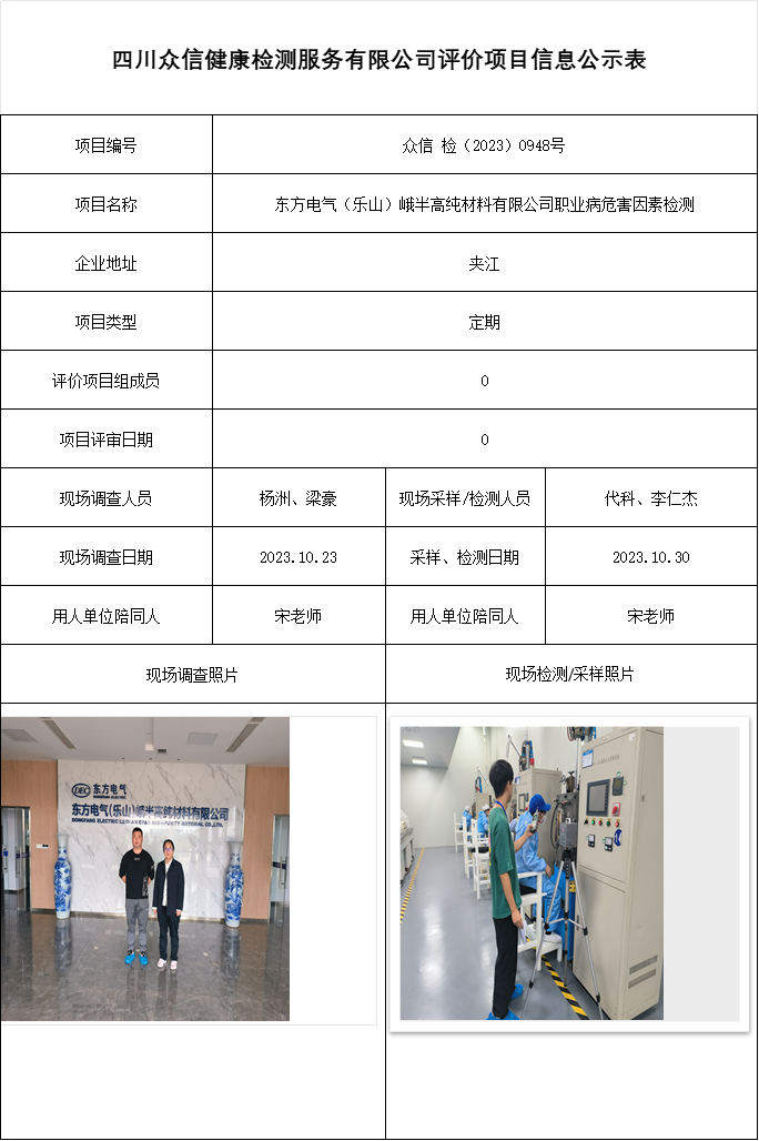东方电气（乐山）峨半高纯材料有限公司职业病危害因素检测