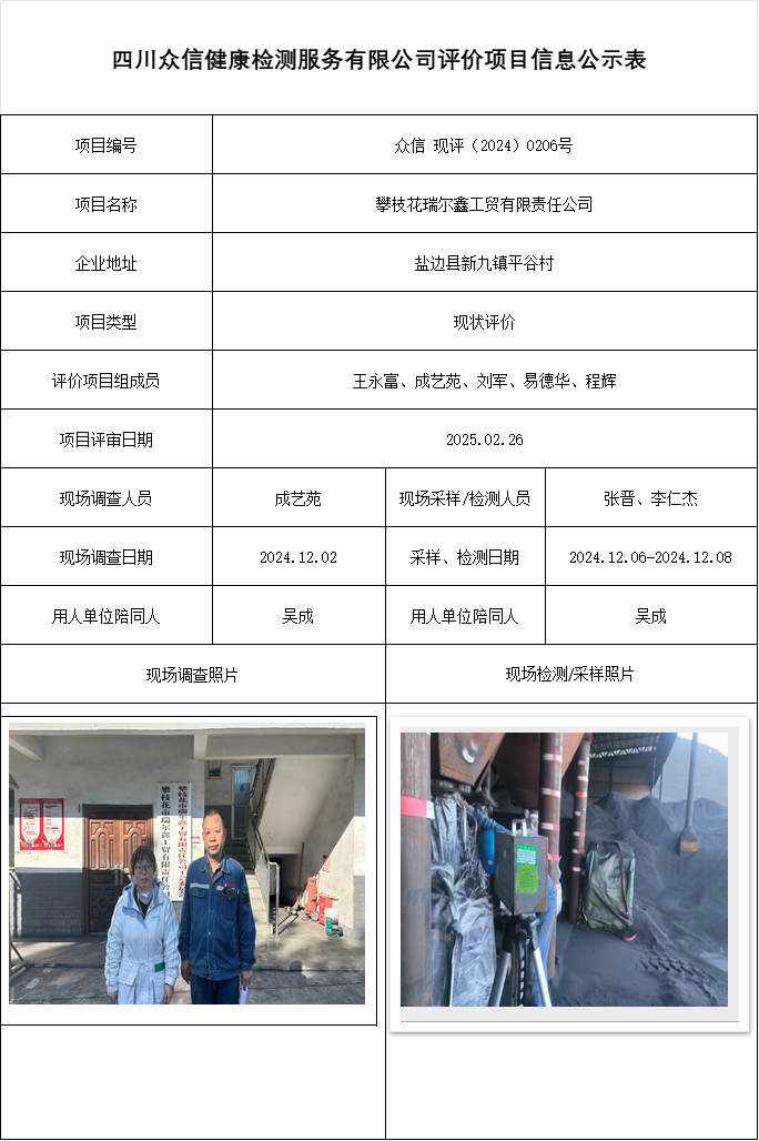 攀枝花瑞尔鑫工贸有限责任公司现状评价