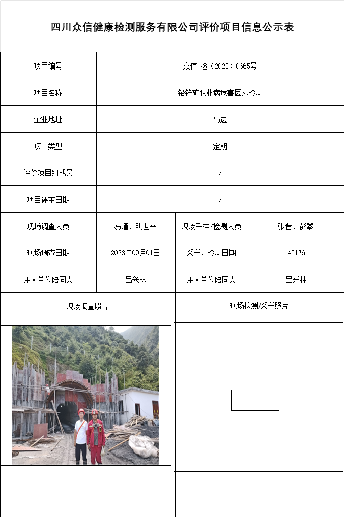 铅锌矿职业病危害因素检测