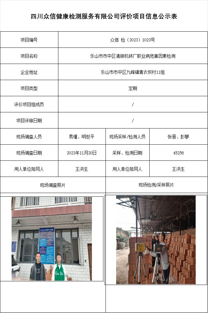 乐山市市中区清银机砖厂职业病危害因素检测