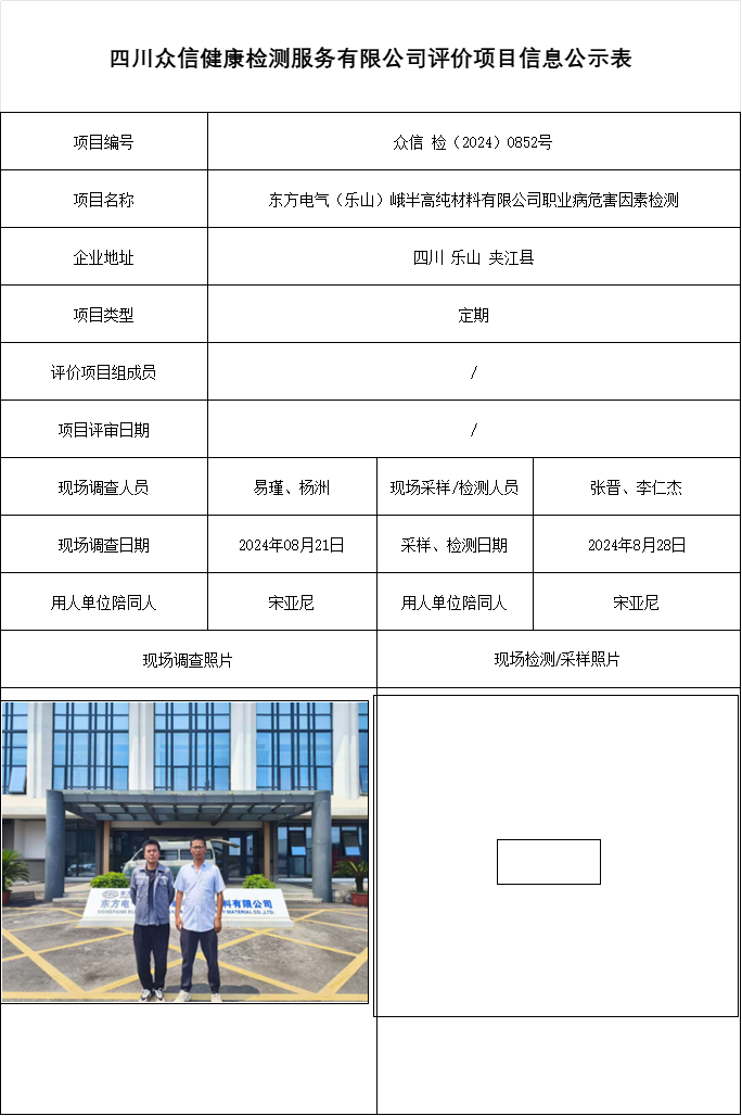 东方电气（乐山）峨半高纯材料有限公司职业病危害因素检测