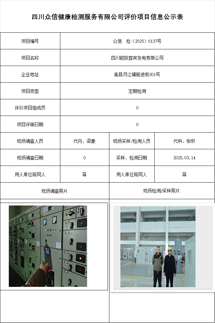 四川能投宜宾发电有限公司