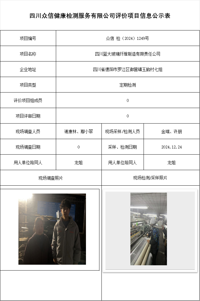 四川蓝大玻璃纤维制造有限责任公司