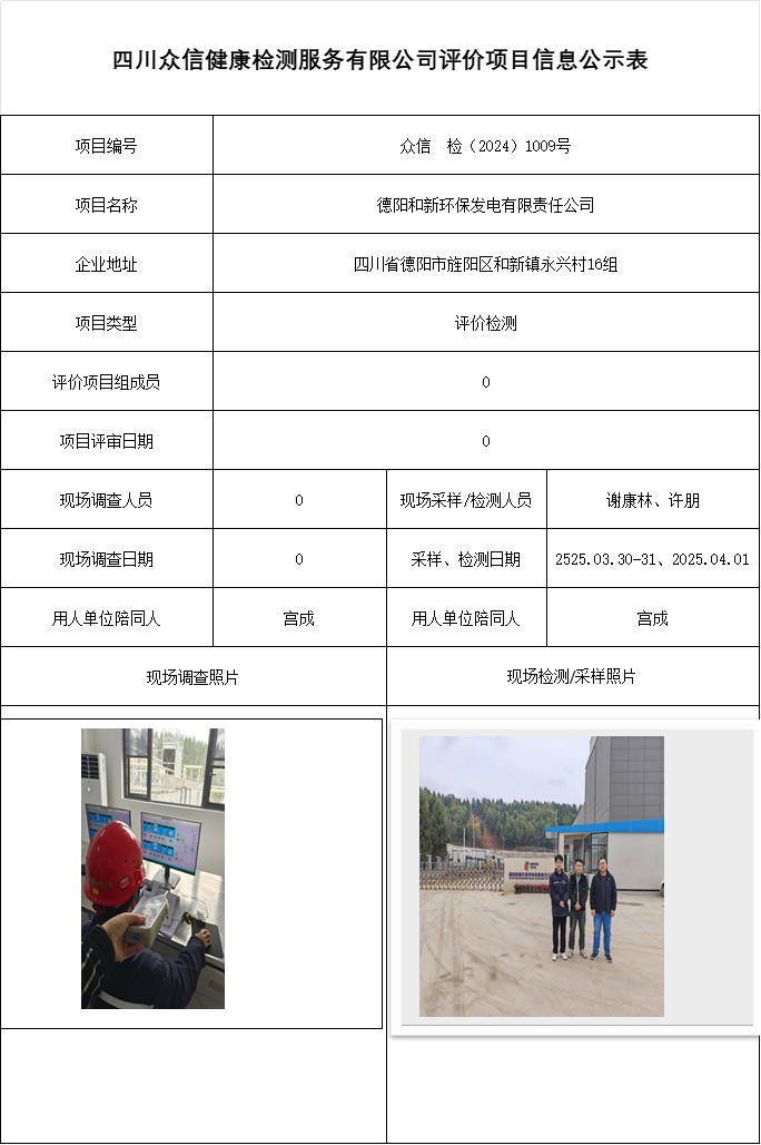 德阳和新环保发电有限责任公司