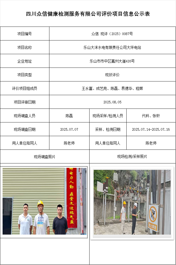 乐山大沫水电有限责任公司大坪电站现状评价