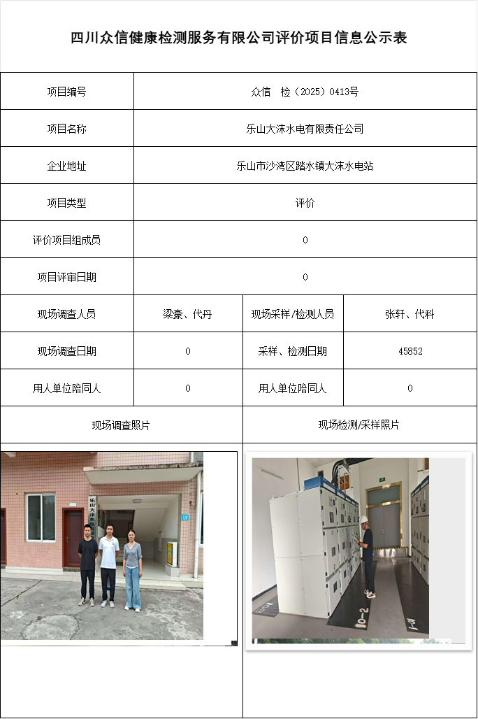 乐山大沫水电有限责任公司