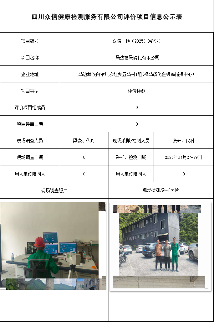 马边福马磷化有限公司