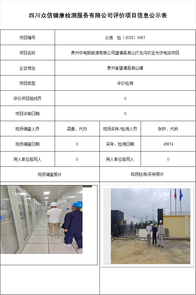 贵州中电新能源有限公司望谟县麻山打龙沟农业光伏电站项目