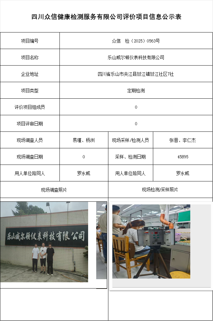 乐山威尔顿仪表科技有限公司