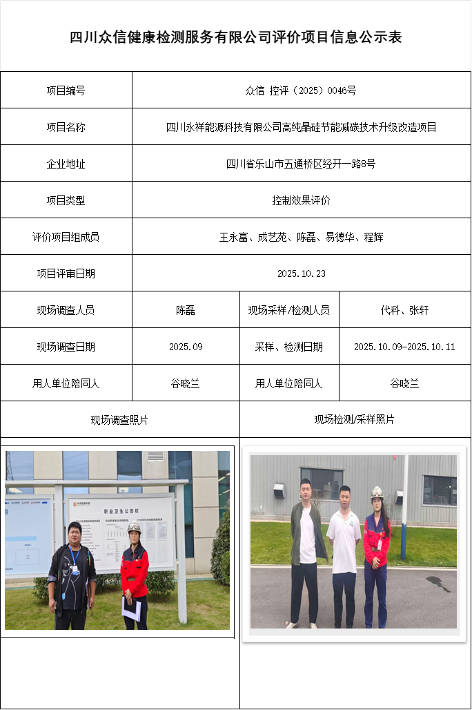 四川永祥能源科技有限公司高纯晶硅节能减碳技术升级改造项目控评